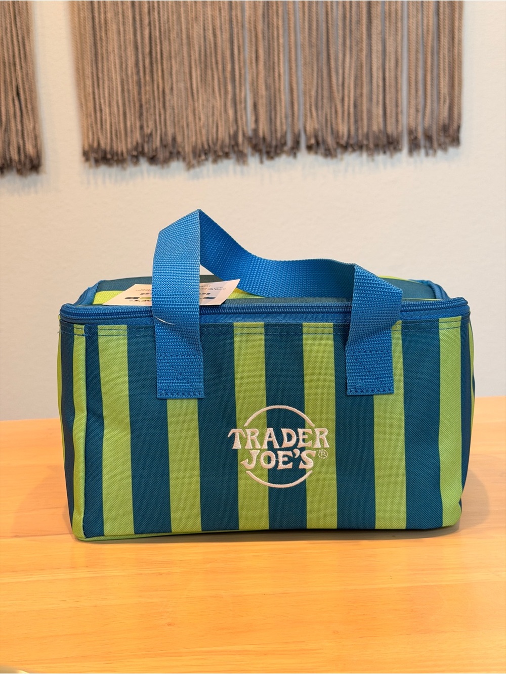 Trader Joe's Striped Mini Insulated Tote Bag in Blue and Green